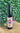 Perfume para Papel 35 ml Floral