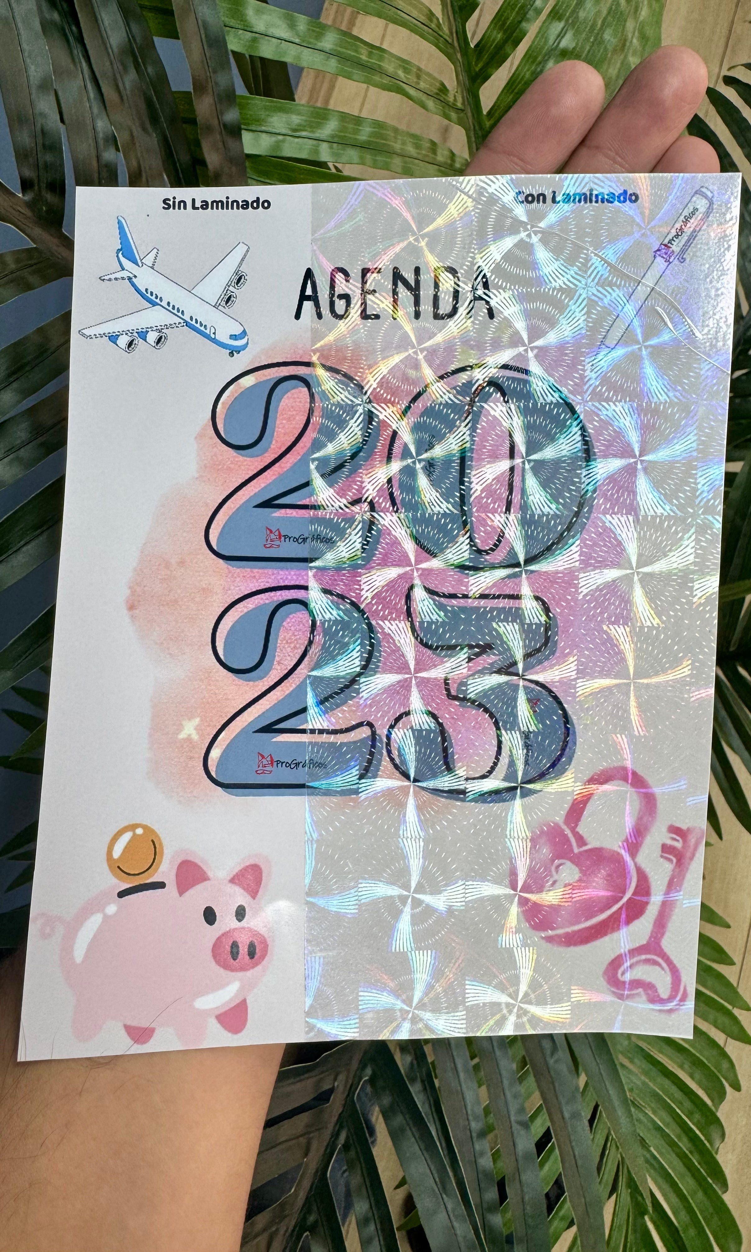 Laminado en Frío Holográfico Windmill A4 10 hjs