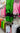 Lanyard Premium Texturado Verde