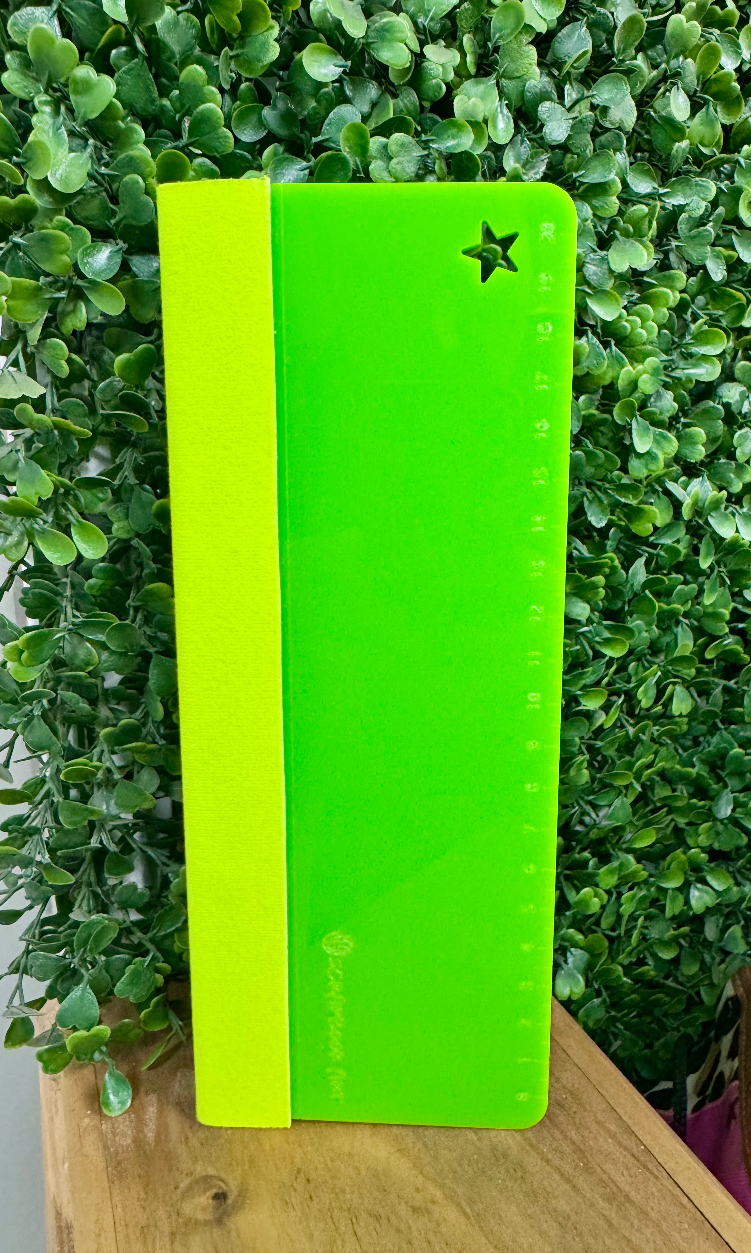 Paleta Acrílica Borde Felpa 22 cm Verde