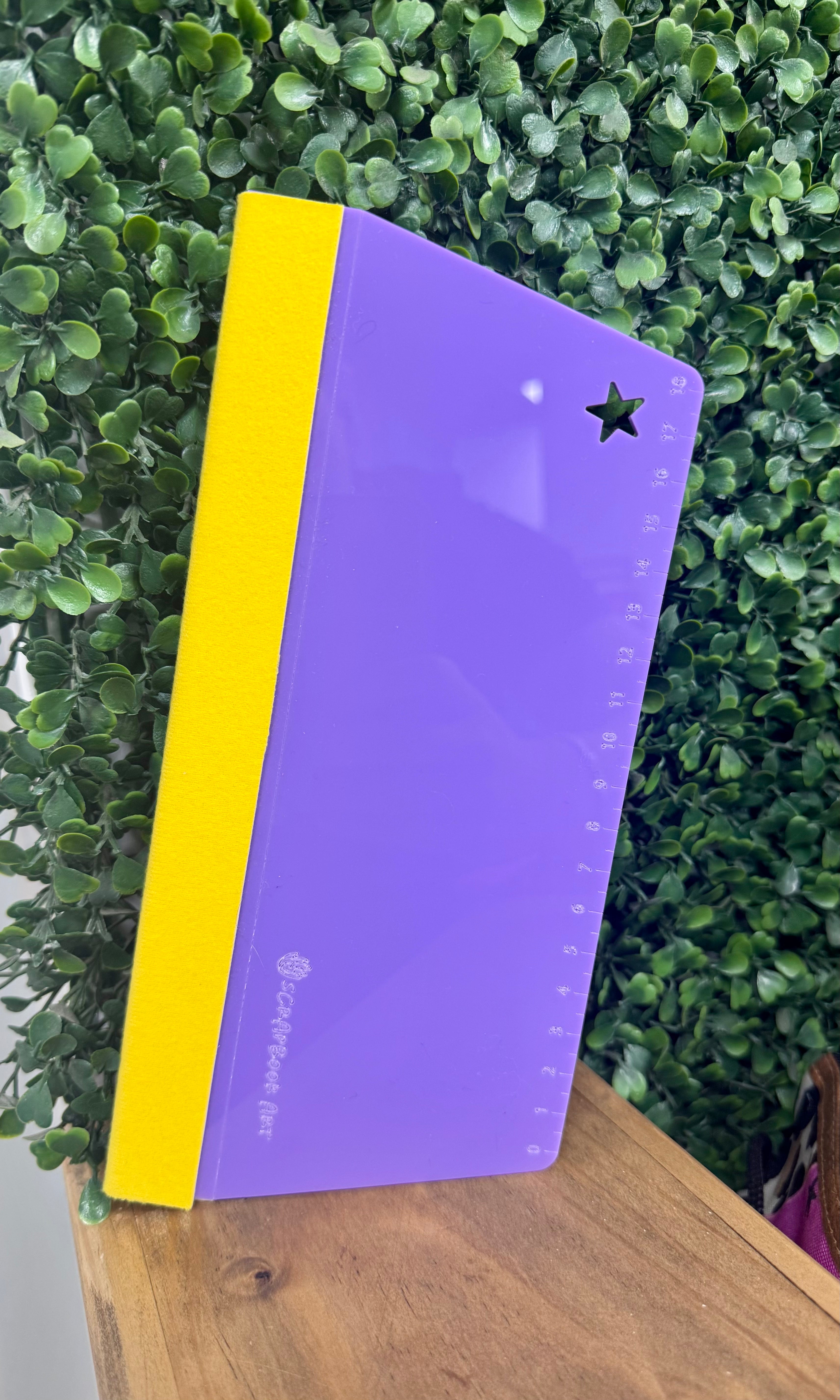 Paleta Acrílica Borde Felpa 23 cm Purpura